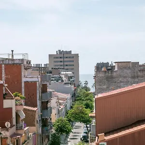 Alcam Roger Apartment